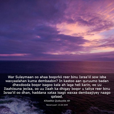 Picture 03 - Nexemyaah 13:26 SOM - War Sulaymaan oo ahaa boqorkii reer binu - Bible Verse Picture