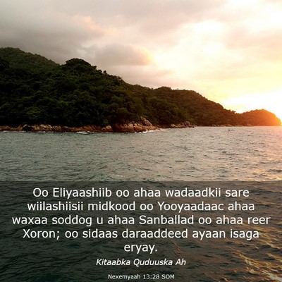 Picture 03 - Nexemyaah 13:28 SOM - Oo Eliyaashiib oo ahaa wadaadkii sare - Bible Verse Picture