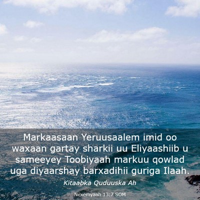 Picture 03 - Nexemyaah 13:7 SOM - Markaasaan Yeruusaalem imid oo waxaan gartay - Bible Verse Picture