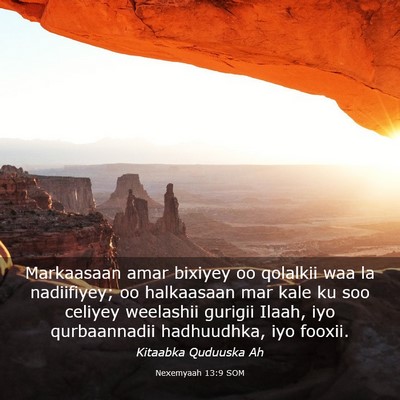 Picture 03 - Nexemyaah 13:9 SOM - Markaasaan amar bixiyey oo qolalkii waa la - Bible Verse Picture