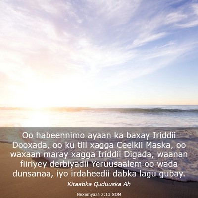 Picture 03 - Nexemyaah 2:13 SOM - Oo habeennimo ayaan ka baxay Iriddii Dooxada, oo - Bible Verse Picture