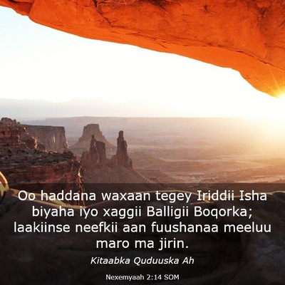 Picture 03 - Nexemyaah 2:14 SOM - Oo haddana waxaan tegey Iriddii Isha biyaha iyo - Bible Verse Picture
