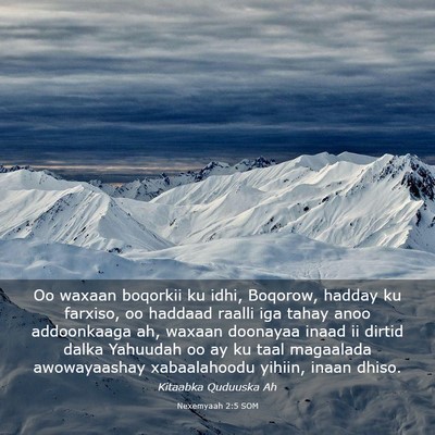 Picture 03 - Nexemyaah 2:5 SOM - Oo waxaan boqorkii ku idhi, Boqorow, hadday ku - Bible Verse Picture
