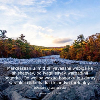 Picture 03 - Nexemyaah 2:9 SOM - Markaasaan u imid taliyayaashii webiga ka - Bible Verse Picture