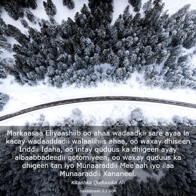Picture 03 - Nexemyaah 3:1 SOM - Markaasaa Eliyaashiib oo ahaa wadaadkii sare ayaa - Bible Verse Picture