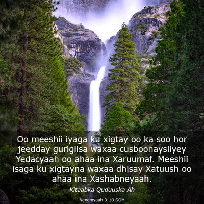Picture 03 - Nexemyaah 3:10 SOM - Oo meeshii iyaga ku xigtay oo ka soo hor jeedday - Bible Verse Picture
