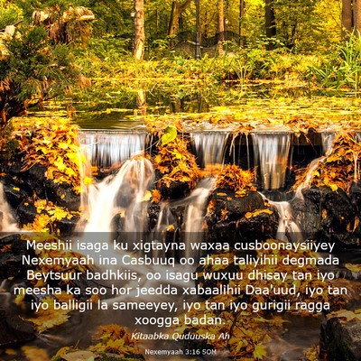 Picture 03 - Nexemyaah 3:16 SOM - Meeshii isaga ku xigtayna waxaa cusboonaysiiyey - Bible Verse Picture