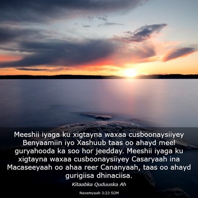 Picture 03 - Nexemyaah 3:23 SOM - Meeshii iyaga ku xigtayna waxaa cusboonaysiiyey - Bible Verse Picture