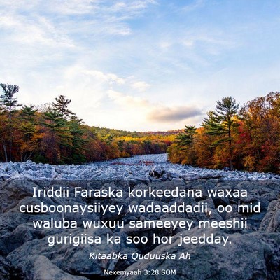Picture 03 - Nexemyaah 3:28 SOM - Iriddii Faraska korkeedana waxaa cusboonaysiiyey - Bible Verse Picture