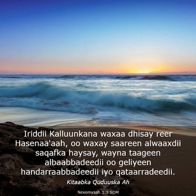 Picture 03 - Nexemyaah 3:3 SOM - Iriddii Kalluunkana waxaa dhisay reer - Bible Verse Picture