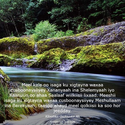 Picture 03 - Nexemyaah 3:30 SOM - Meel kale oo isaga ku xigtayna waxaa - Bible Verse Picture