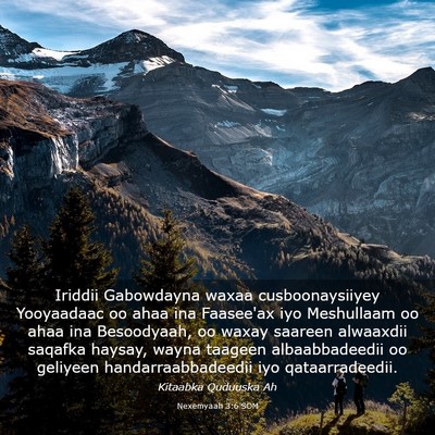 Picture 03 - Nexemyaah 3:6 SOM - Iriddii Gabowdayna waxaa cusboonaysiiyey - Bible Verse Picture
