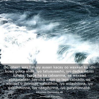 Picture 03 - Nexemyaah 4:14 SOM - Oo intaan wax fiiriyey ayaan kacay oo waxaan ku - Bible Verse Picture