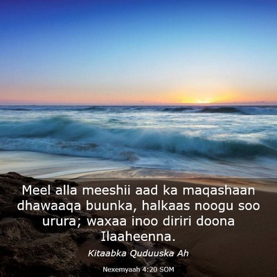 Picture 03 - Nexemyaah 4:20 SOM - Meel alla meeshii aad ka maqashaan dhawaaqa - Bible Verse Picture