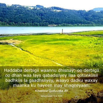 Picture 03 - Nexemyaah 4:6 SOM - Haddaba derbigii waannu dhisnay; oo derbigii oo - Bible Verse Picture