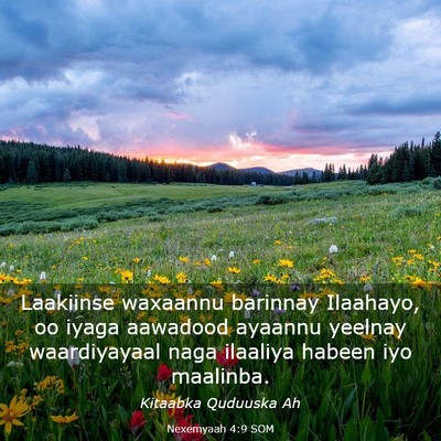 Picture 03 - Nexemyaah 4:9 SOM - Laakiinse waxaannu barinnay Ilaahayo, oo iyaga - Bible Verse Picture