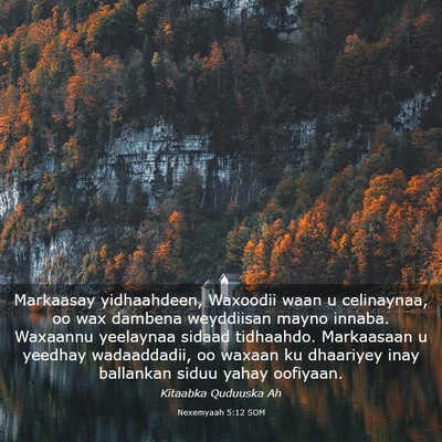 Picture 03 - Nexemyaah 5:12 SOM - Markaasay yidhaahdeen, Waxoodii waan u - Bible Verse Picture