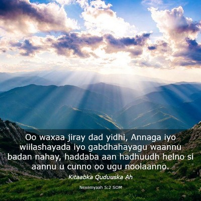 Picture 03 - Nexemyaah 5:2 SOM - Oo waxaa jiray dad yidhi, Annaga iyo wiilashayada - Bible Verse Picture