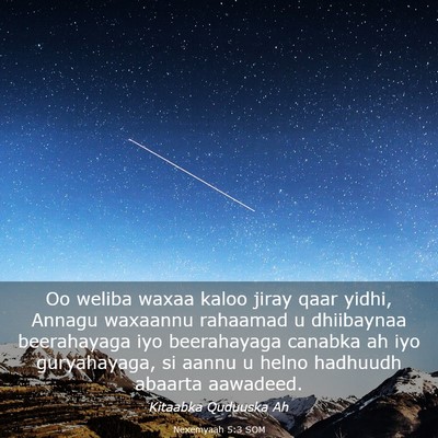 Picture 03 - Nexemyaah 5:3 SOM - Oo weliba waxaa kaloo jiray qaar yidhi, Annagu - Bible Verse Picture