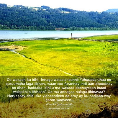 Picture 03 - Nexemyaah 5:8 SOM - Oo waxaan ku idhi, Innagu walaalaheennii Yuhuudda - Bible Verse Picture