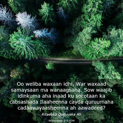 Picture 03 - Nexemyaah 5:9 SOM - Oo weliba waxaan idhi, War waxaad samaysaan ma - Bible Verse Picture