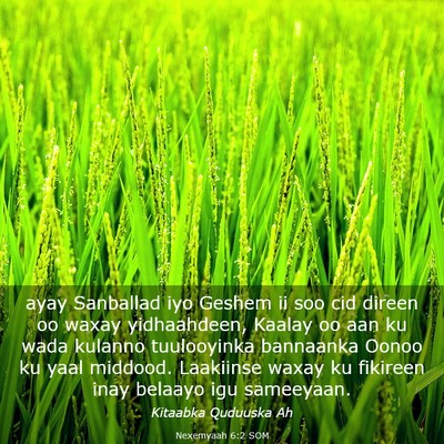 Picture 03 - Nexemyaah 6:2 SOM - ayay Sanballad iyo Geshem ii soo cid direen oo - Bible Verse Picture