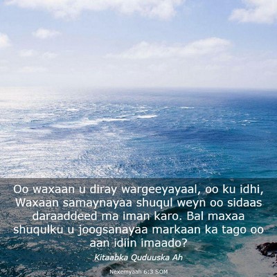Picture 03 - Nexemyaah 6:3 SOM - Oo waxaan u diray wargeeyayaal, oo ku idhi, - Bible Verse Picture