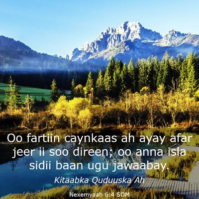 Picture 03 - Nexemyaah 6:4 SOM - Oo fartiin caynkaas ah ayay afar jeer ii soo - Bible Verse Picture