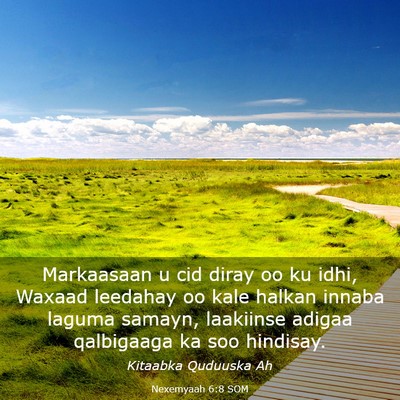 Picture 03 - Nexemyaah 6:8 SOM - Markaasaan u cid diray oo ku idhi, Waxaad - Bible Verse Picture