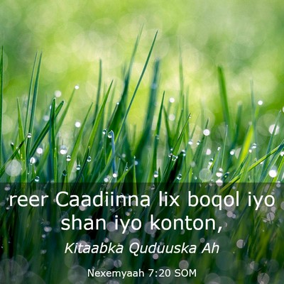 Picture 03 - Nexemyaah 7:20 SOM - reer Caadiinna lix boqol iyo shan iyo - Bible Verse Picture