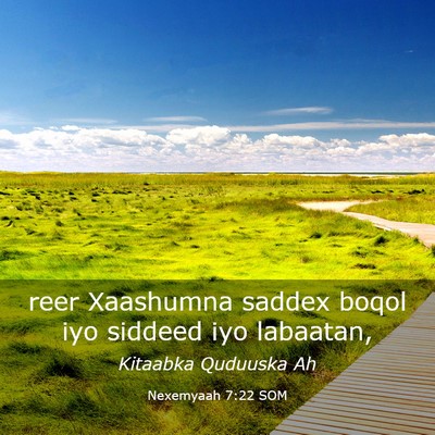Picture 03 - Nexemyaah 7:22 SOM - reer Xaashumna saddex boqol iyo siddeed iyo - Bible Verse Picture
