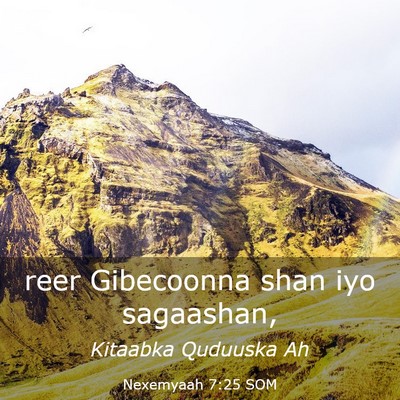 Picture 03 - Nexemyaah 7:25 SOM - reer Gibecoonna shan iyo - Bible Verse Picture