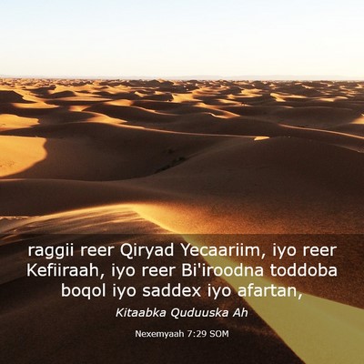 Picture 03 - Nexemyaah 7:29 SOM - raggii reer Qiryad Yecaariim, iyo reer Kefiiraah, - Bible Verse Picture
