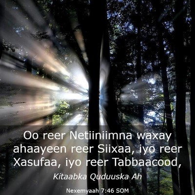 Picture 03 - Nexemyaah 7:46 SOM - Oo reer Netiiniimna waxay ahaayeen reer Siixaa, - Bible Verse Picture