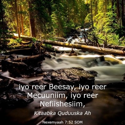Picture 03 - Nexemyaah 7:52 SOM - iyo reer Beesay, iyo reer Mecuuniim, iyo reer - Bible Verse Picture