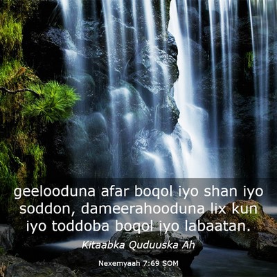 Picture 03 - Nexemyaah 7:69 SOM - geelooduna afar boqol iyo shan iyo soddon, - Bible Verse Picture