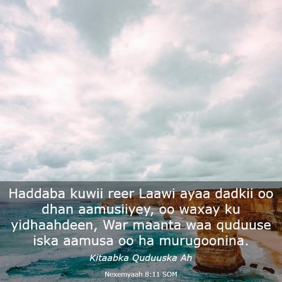 Picture 03 - Nexemyaah 8:11 SOM - Haddaba kuwii reer Laawi ayaa dadkii oo dhan - Bible Verse Picture