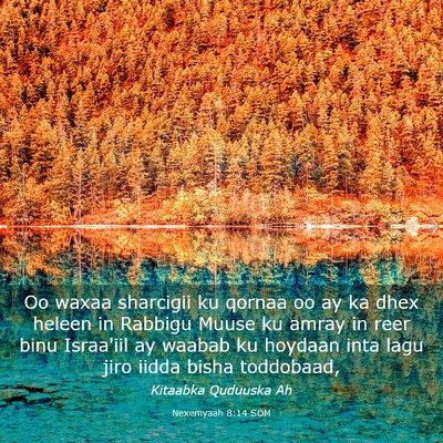 Picture 03 - Nexemyaah 8:14 SOM - Oo waxaa sharcigii ku qornaa oo ay ka dhex heleen - Bible Verse Picture