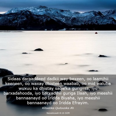 Picture 03 - Nexemyaah 8:16 SOM - Sidaas daraaddeed dadkii way bexeen, oo laamihii - Bible Verse Picture