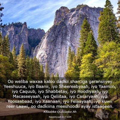 Picture 03 - Nexemyaah 8:7 SOM - Oo weliba waxaa kaloo dadkii sharciga garansiiyey - Bible Verse Picture
