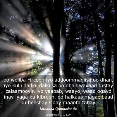 Picture 03 - Nexemyaah 9:10 SOM - oo weliba Fircoon iyo addoommadiisii oo dhan, iyo - Bible Verse Picture
