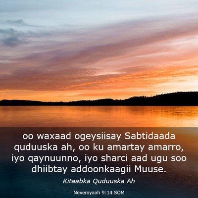 Picture 03 - Nexemyaah 9:14 SOM - oo waxaad ogeysiisay Sabtidaada quduuska ah, oo - Bible Verse Picture