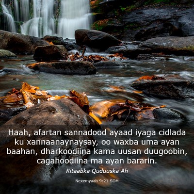 Picture 03 - Nexemyaah 9:21 SOM - Haah, afartan sannadood ayaad iyaga cidlada ku - Bible Verse Picture