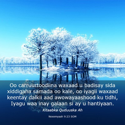 Picture 03 - Nexemyaah 9:23 SOM - Oo carruurtoodiina waxaad u badisay sida - Bible Verse Picture