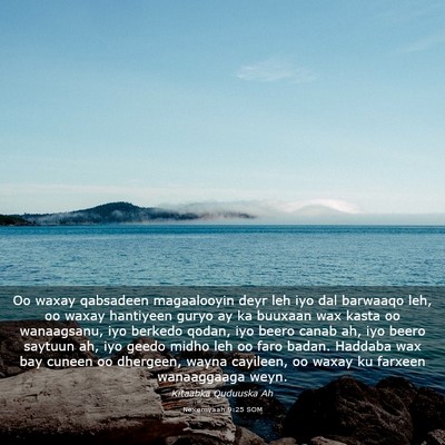 Picture 03 - Nexemyaah 9:25 SOM - Oo waxay qabsadeen magaalooyin deyr leh iyo dal - Bible Verse Picture