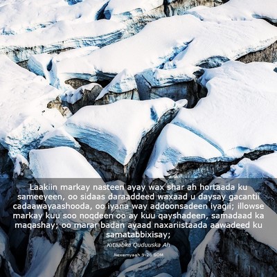 Picture 03 - Nexemyaah 9:28 SOM - Laakiin markay nasteen ayay wax shar ah hortaada - Bible Verse Picture