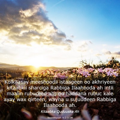 Picture 03 - Nexemyaah 9:3 SOM - Kolkaasay meeshoodii istaageen oo akhriyeen - Bible Verse Picture