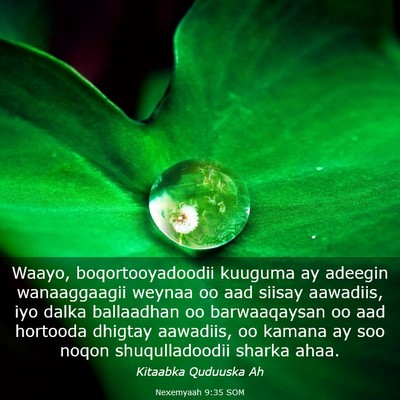 Picture 03 - Nexemyaah 9:35 SOM - Waayo, boqortooyadoodii kuuguma ay adeegin - Bible Verse Picture