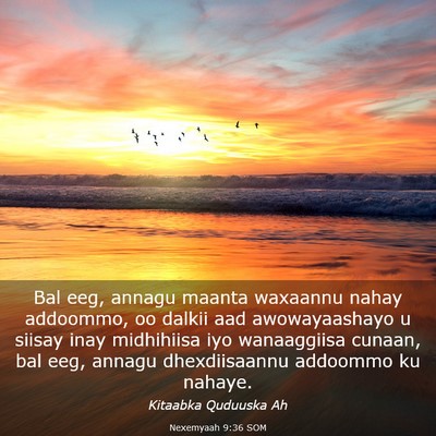 Picture 03 - Nexemyaah 9:36 SOM - Bal eeg, annagu maanta waxaannu nahay addoommo, - Bible Verse Picture