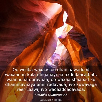 Picture 03 - Nexemyaah 9:38 SOM - Oo weliba waxaas oo dhan aawadood waxaannu kula - Bible Verse Picture